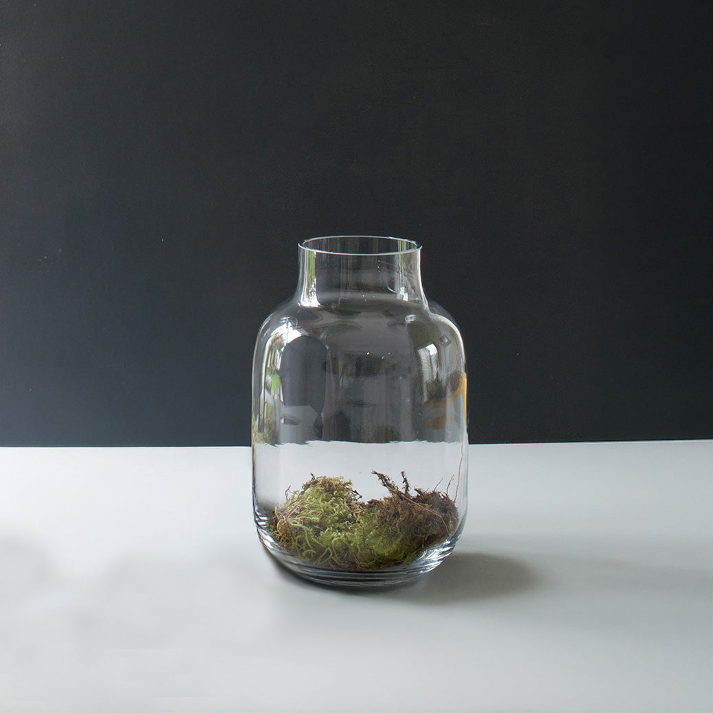 Glass Vase Large Medium 25cm